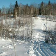 skiwanis