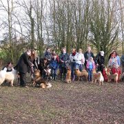 Eurasier Walk January 2010