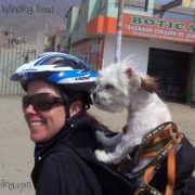 2010 PICS THE PERUCYCLING - CTP EXPERIENCE
