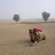 Khimsar