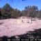 3-19-11 New Mexico