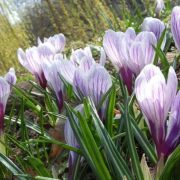 Spring is here...finally