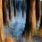 Tree Painting