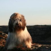 November_2011