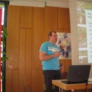Seminar Regionale Ansätze 2012