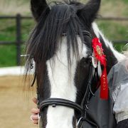 22-4-12 keuring Vorden