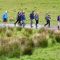 Haltwhistle Challenge 2012 - Walkers