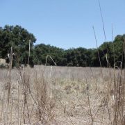 Rocky Oaks Park