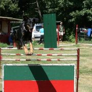 Entraînement-08-2008