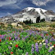 Pacific Northwest