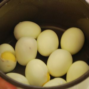 Vložena jajca