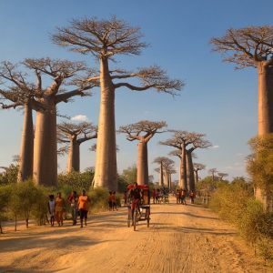 Madagascar - West