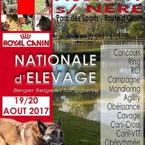 National D'Elevage Wassel 2017