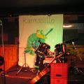 karmadillo