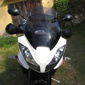 tigersport