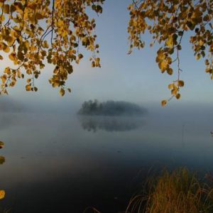 Autumn