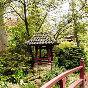Japanischer Garten