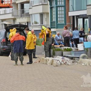 HORSEBACKFISHERMEN 594- Belgium