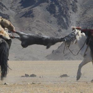 MONGOLIAN GOAT CARCASS FIGHT KOKBAR 2022