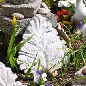 from concrete to delicate leaf