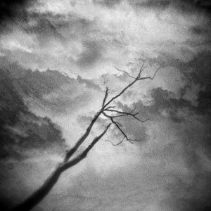 In the light of - Jim Rohan