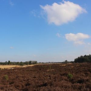 Putte (Woensdrecht) NL 16-2-2025