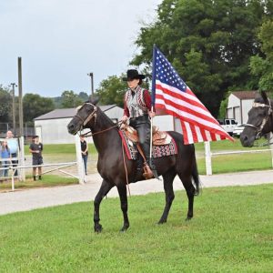 Project  Horse Show 2026