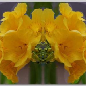 Symmetry