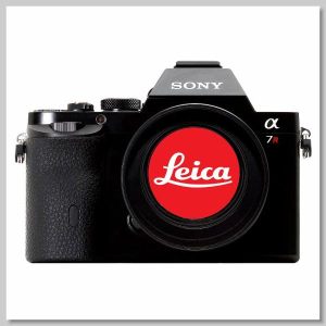 Sony A7r Leica R lens