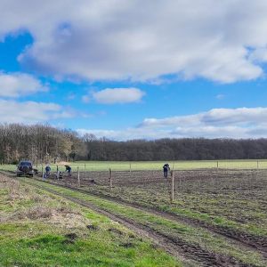 Holtesch Hooghalen voorbereiding zaaiwerk kruidenrijk bloemenmengsel