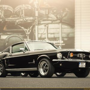 American Classic Meeting Köln 2026