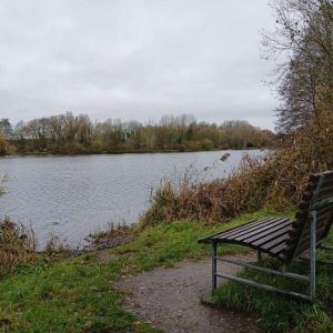 6.12.2025 Nette Seen, Wiesen und Wälder