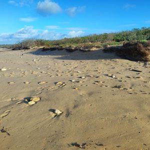 Apres tempete Benjamin 23 10 2025