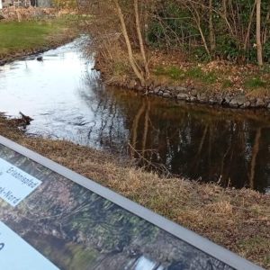 27.12.2025  Zwischen den Jahren an der Niers