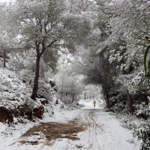Nevada en El Valle, Murcia
