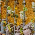 Bloemencorso Bollenstreek