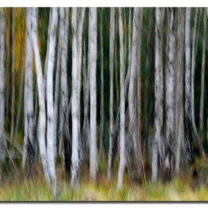 Landskapsfotografi III