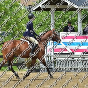 2024 Warrenton Pony Show