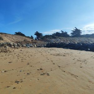 Rémigeasse le Mardi 07 mars 2026