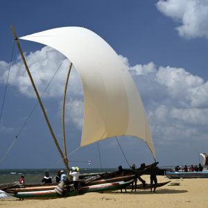 Sri Lanka 2024