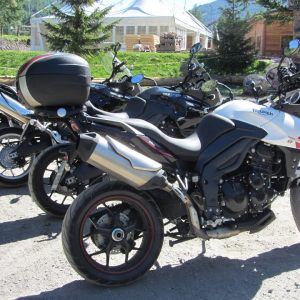 raduno tiger 2015