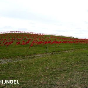 Vlaggen voor Vrijheid 17-9-2025
