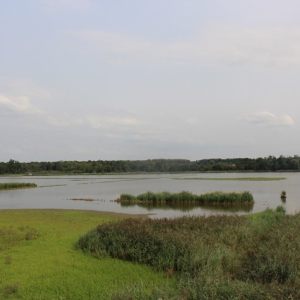 Zoutleeuw 18-8-2024