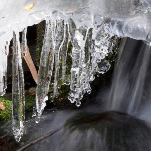 Ice 2016 2