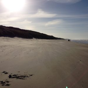 sele TOUQUET _ nov2014