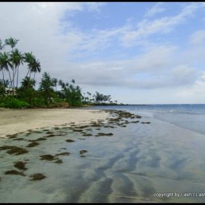 Puerto Rico's Stunning North Coast
