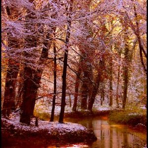 Winter in Holland