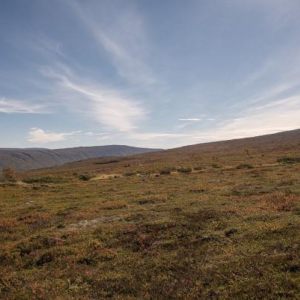 Fjäll och lite annat