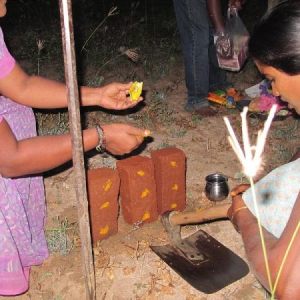 Ancient Organics Lakshmi Kamadhenu Organic Dairy and Creamery