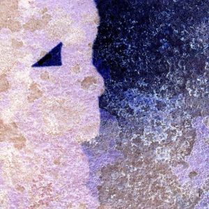 Plural females   /   Feminin plurielles